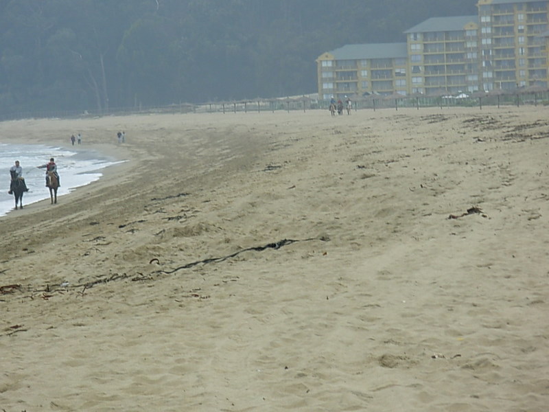 Foto de Papudo, Chile