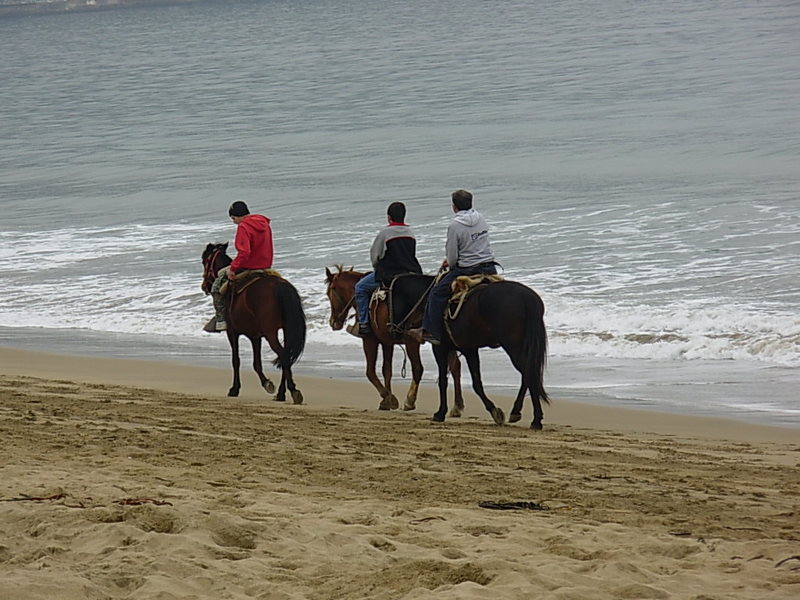 Foto de Papudo, Chile