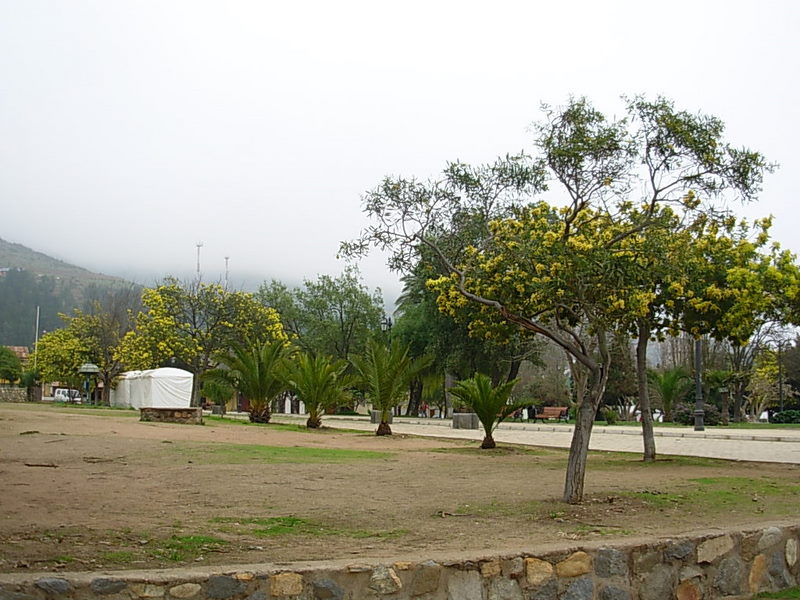 Foto de Papudo, Chile