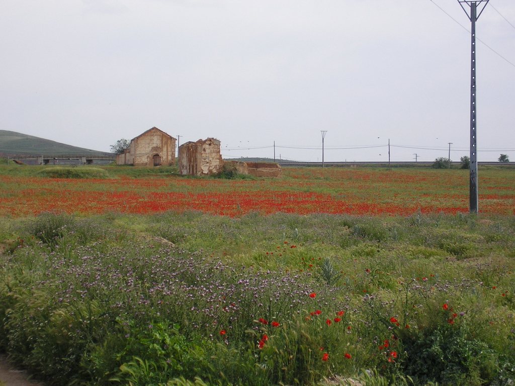 Foto de Valdepeñas (Ciudad Real), España