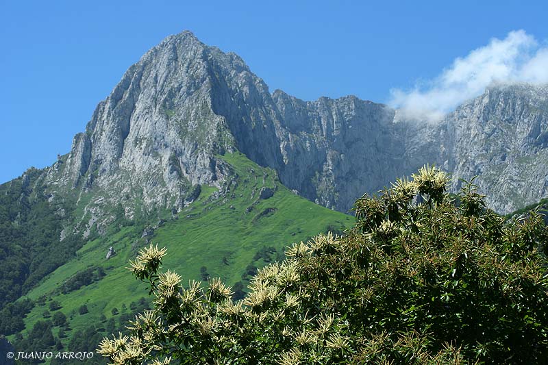 Foto de Ponga (Asturias), España