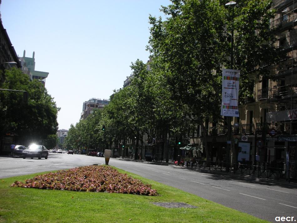 Foto de Madrid (Comunidad de Madrid), España