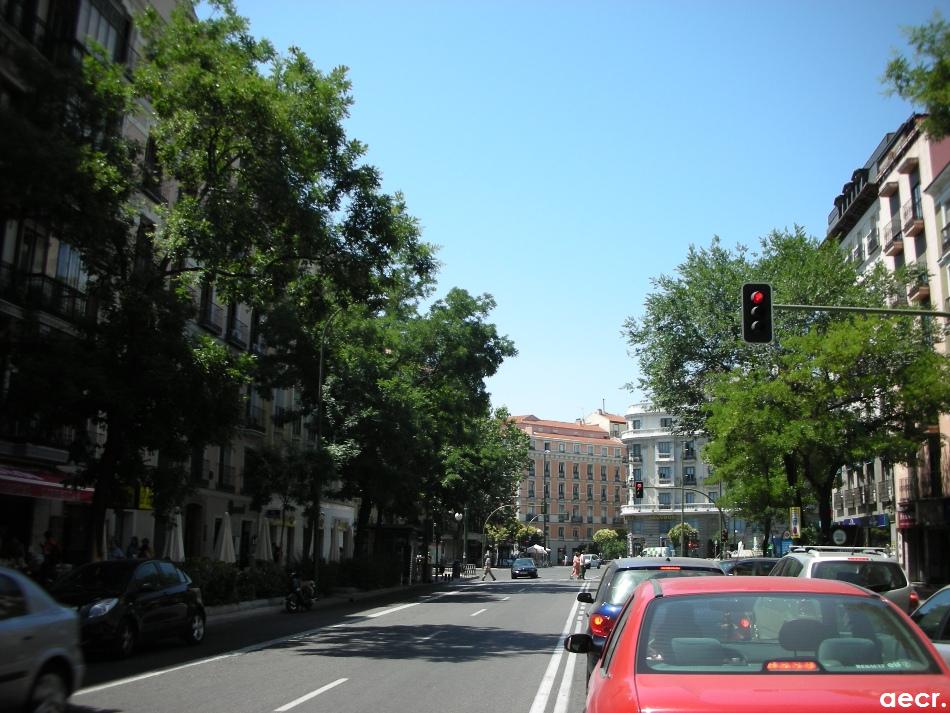 Foto de Madrid (Comunidad de Madrid), España