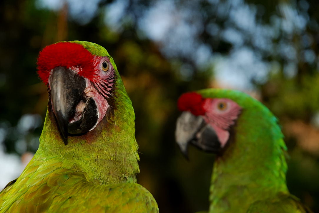 Foto de Xcaret, México