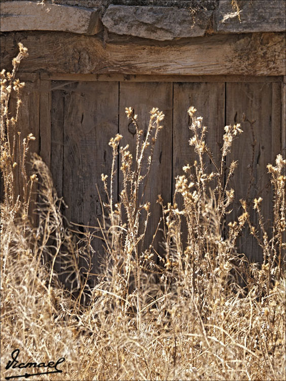 Foto de Ariza (Zaragoza), España