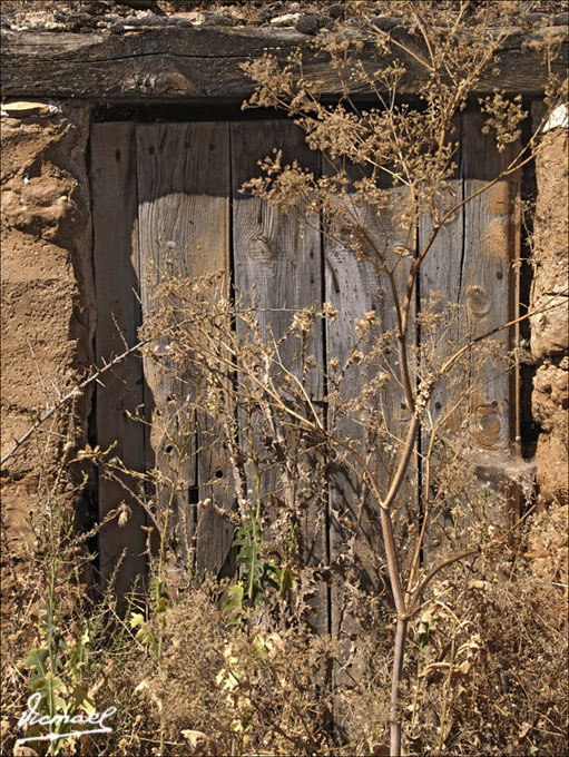 Foto de Ariza (Zaragoza), España