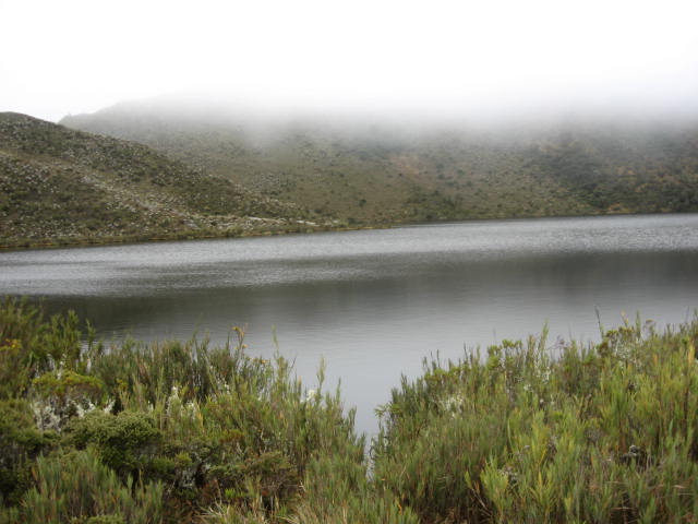 Foto de Chingaza, Colombia