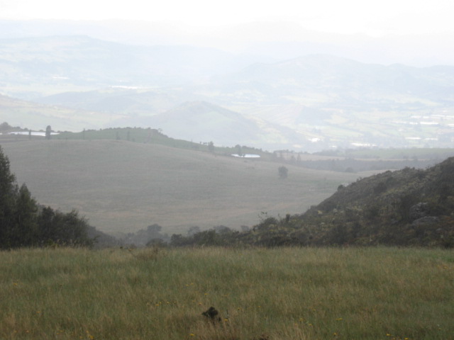 Foto de Chingaza, Colombia