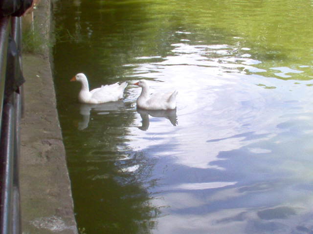 Foto de Santa Lucia, Honduras