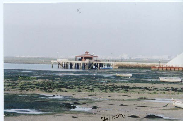 Foto de Puerto Real (Cádiz), España