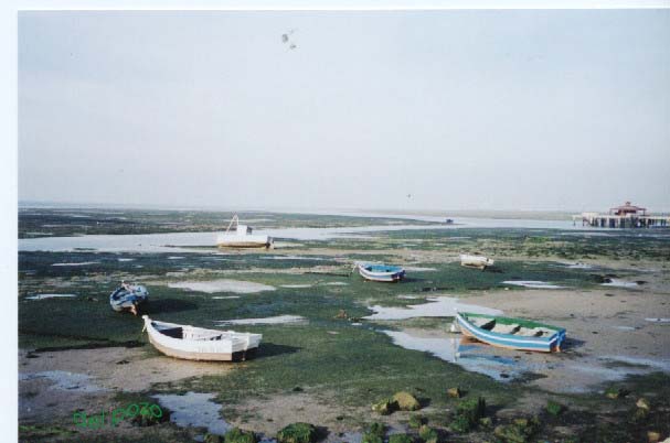 Foto de Puerto Real (Cádiz), España