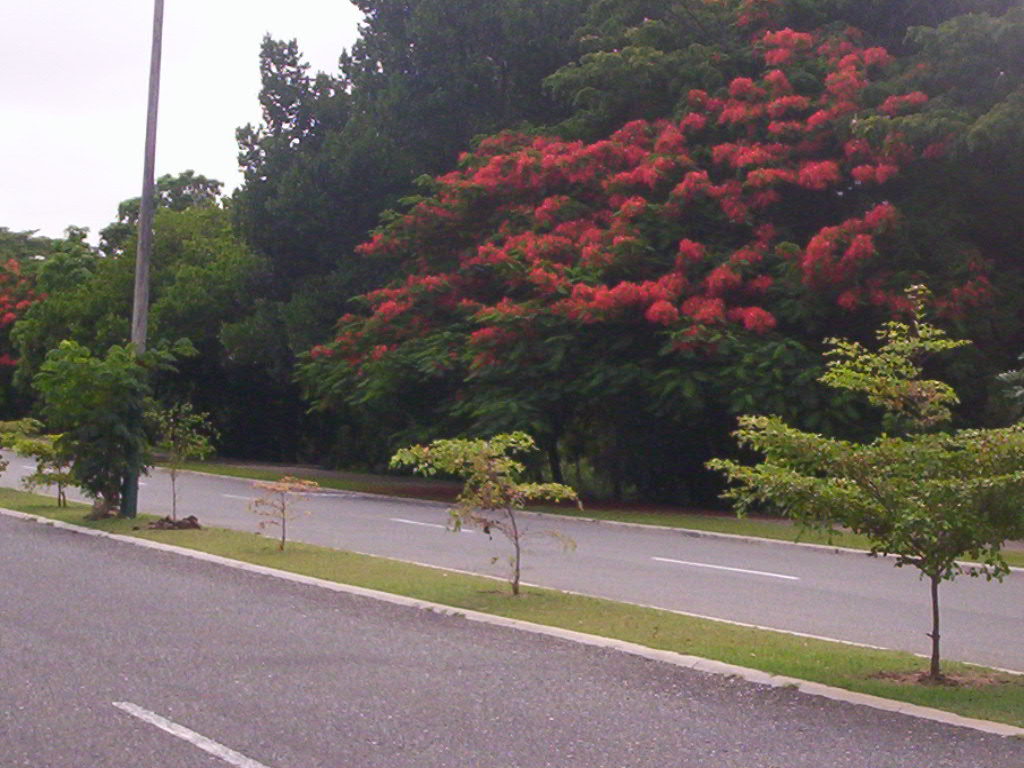 Foto de Santo Domingo, República Dominicana