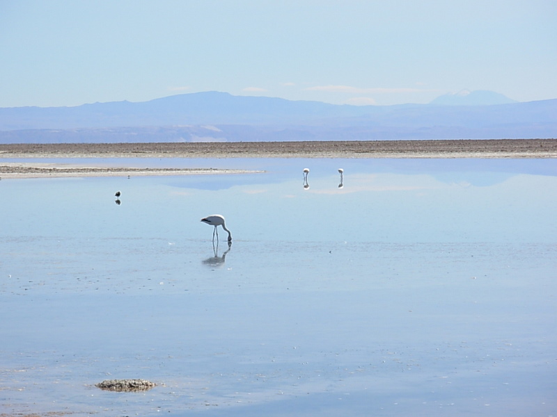 Foto de San Pedro de Atacama, Chile