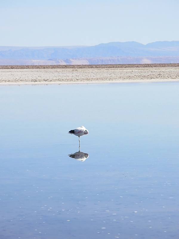 Foto de San Pedro de Atacama, Chile