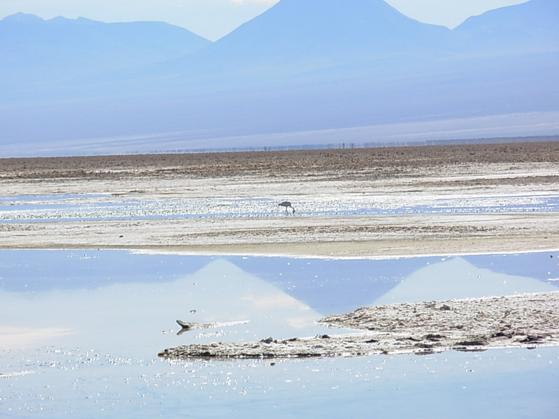 Foto de San Pedro de Atacama, Chile