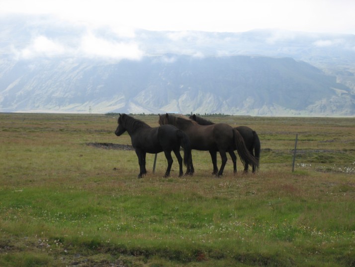 Foto de Islandia, Islandia