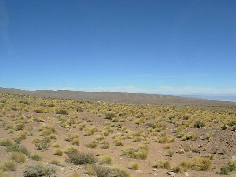 Foto de San Pedro de Atacama, Chile