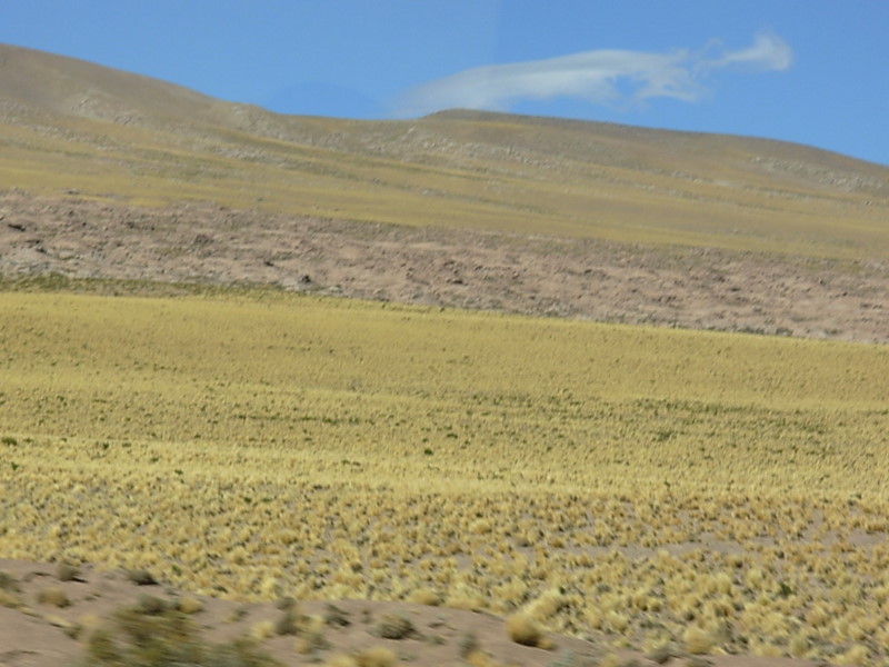 Foto de San Pedro de Atacama, Chile