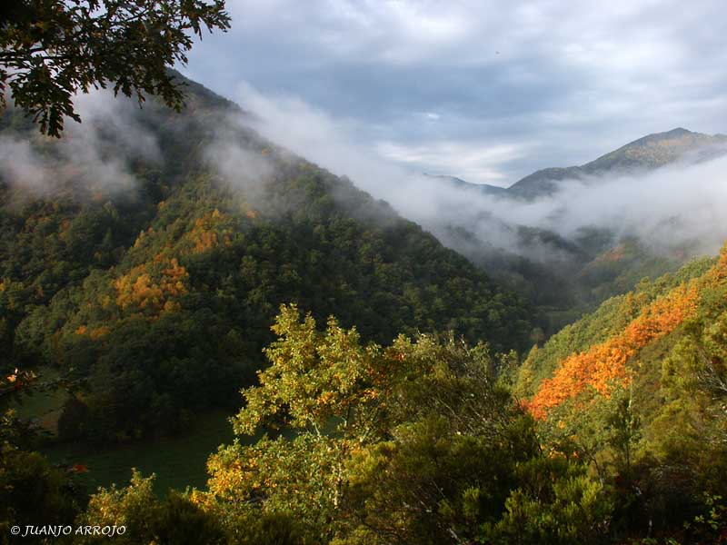 Foto de Cangas del Narcea (Asturias), España