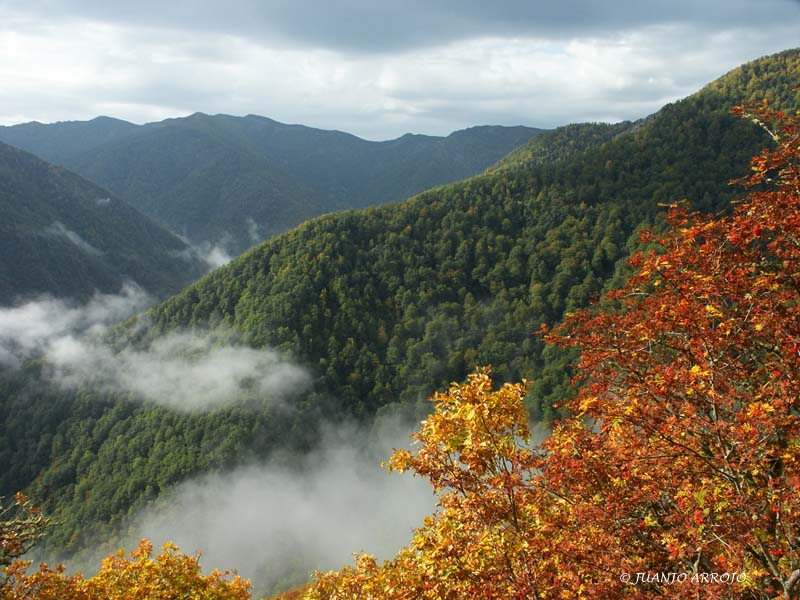Foto de Cangas del Narcea (Asturias), España