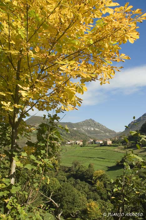 Foto de Belmonte (Asturias), España