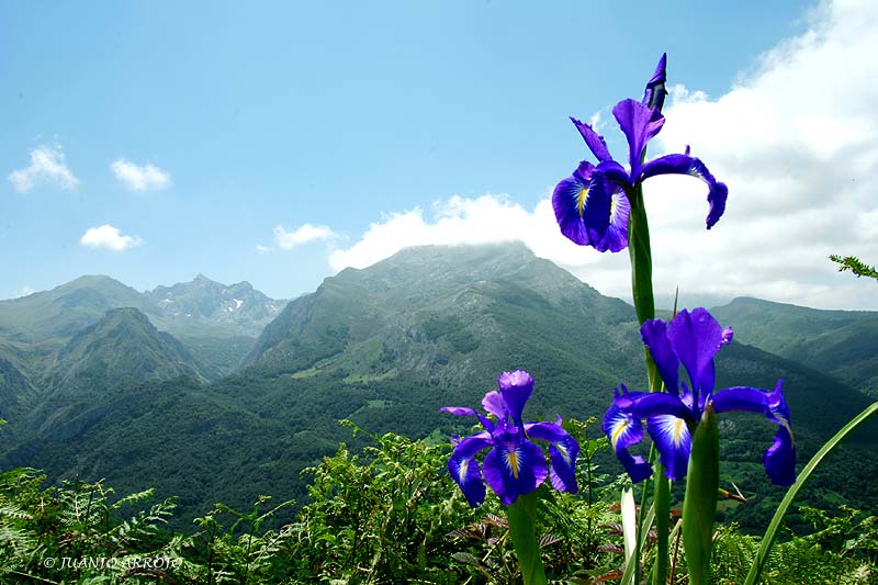 Foto de Quirós (Asturias), España
