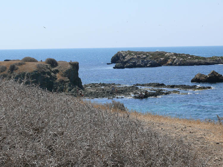 Foto de Tabarca (Alicante), España