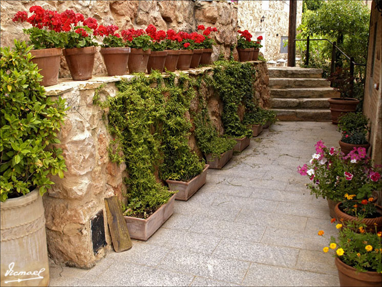 Foto de Somaen (Soria), España