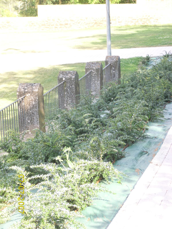 Foto de Javier (Navarra), España