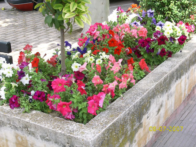 Foto de Puente la Reina (Navarra), España