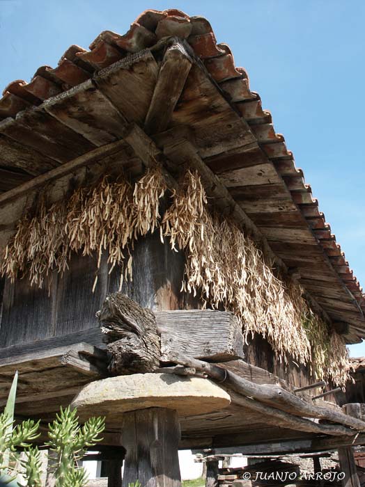 Foto de Colunga (Asturias), España