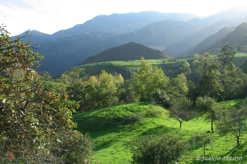 Foto de Llanes (Asturias), España