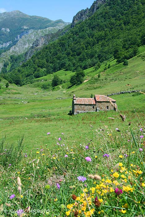 Foto de Ponga (Asturias), España