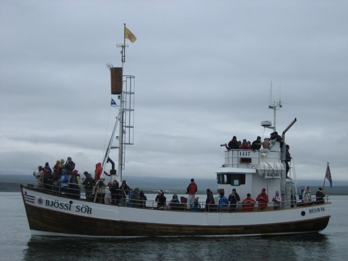 Foto de Húsavík, Islandia