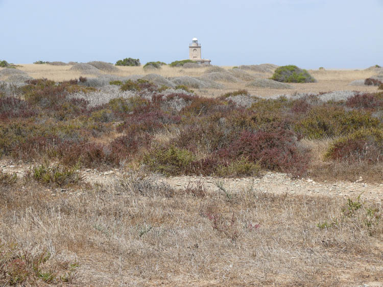 Foto de Tabarca (Alicante), España