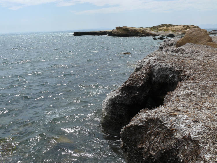 Foto de Tabarca (Alicante), España