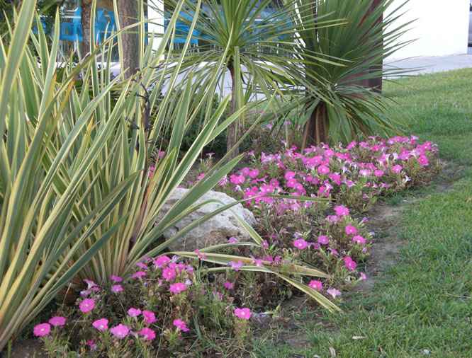 Foto de Cádiz (Andalucía), España