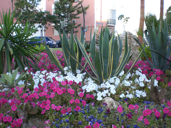 Foto de Cádiz (Andalucía), España