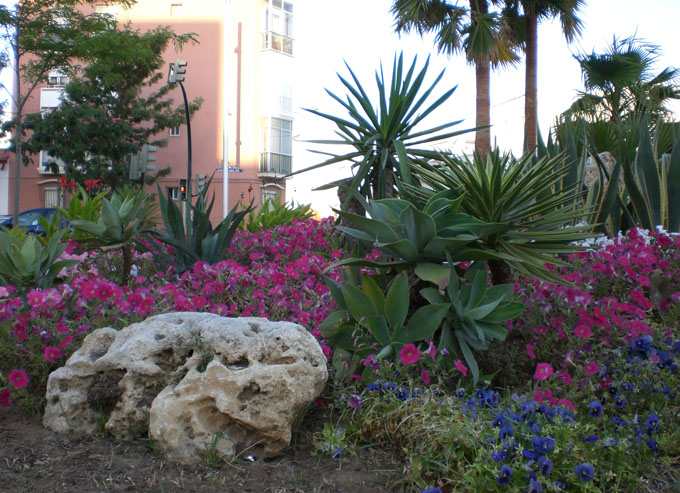 Foto de Cádiz (Andalucía), España