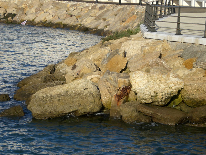 Foto de Cádiz (Andalucía), España