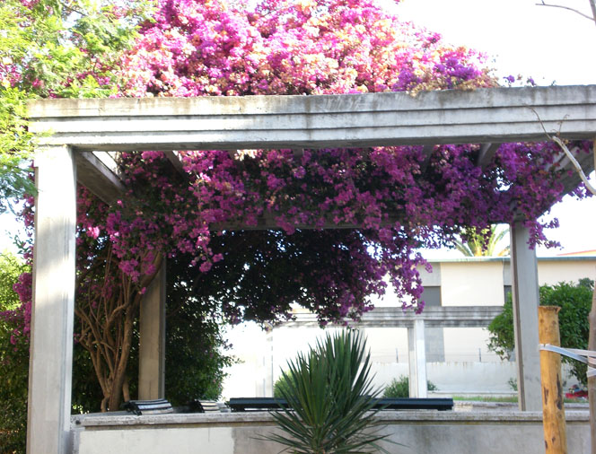 Foto de Cádiz (Andalucía), España