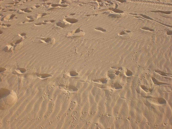 Foto de Cádiz (Andalucía), España