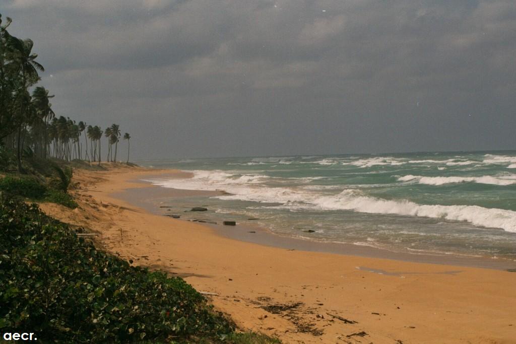 Foto de Carolina, Puerto Rico