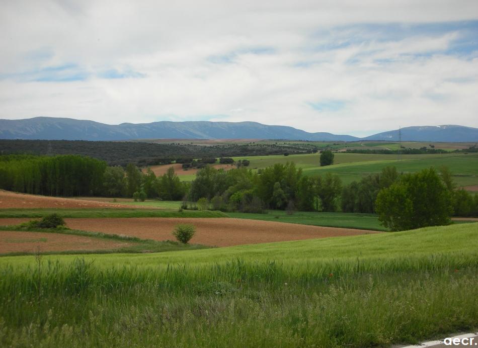 Foto de Sepúlveda (Segovia), España