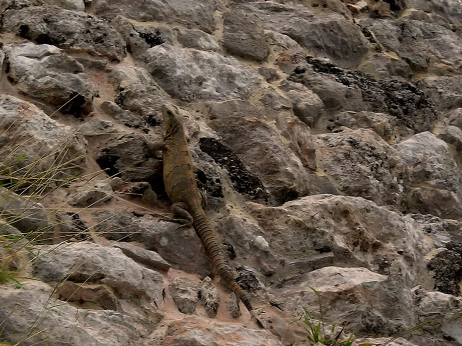 Foto de Uxmal, México