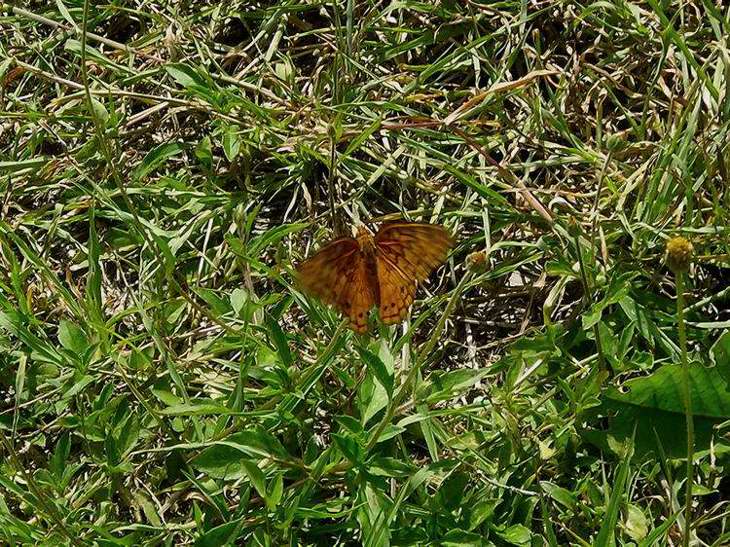 Foto de Uxmal, México