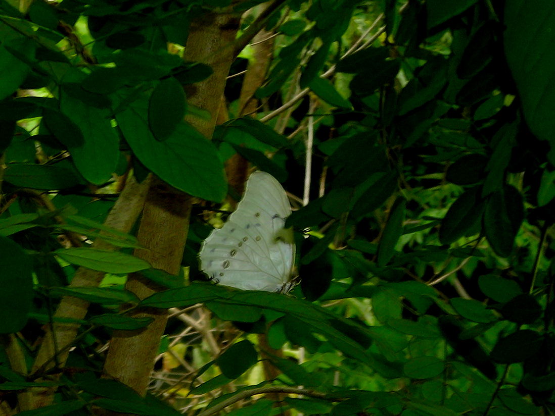 Foto de Xcaret, México