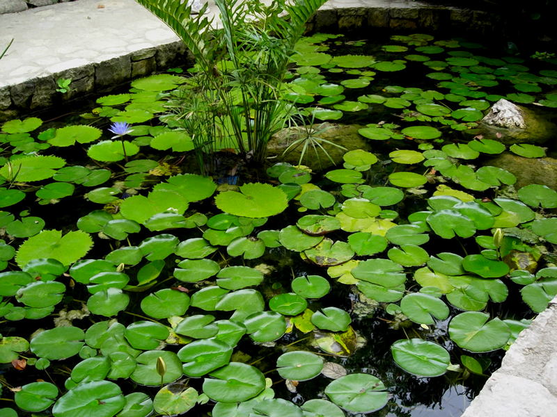 Foto de Xcaret, México