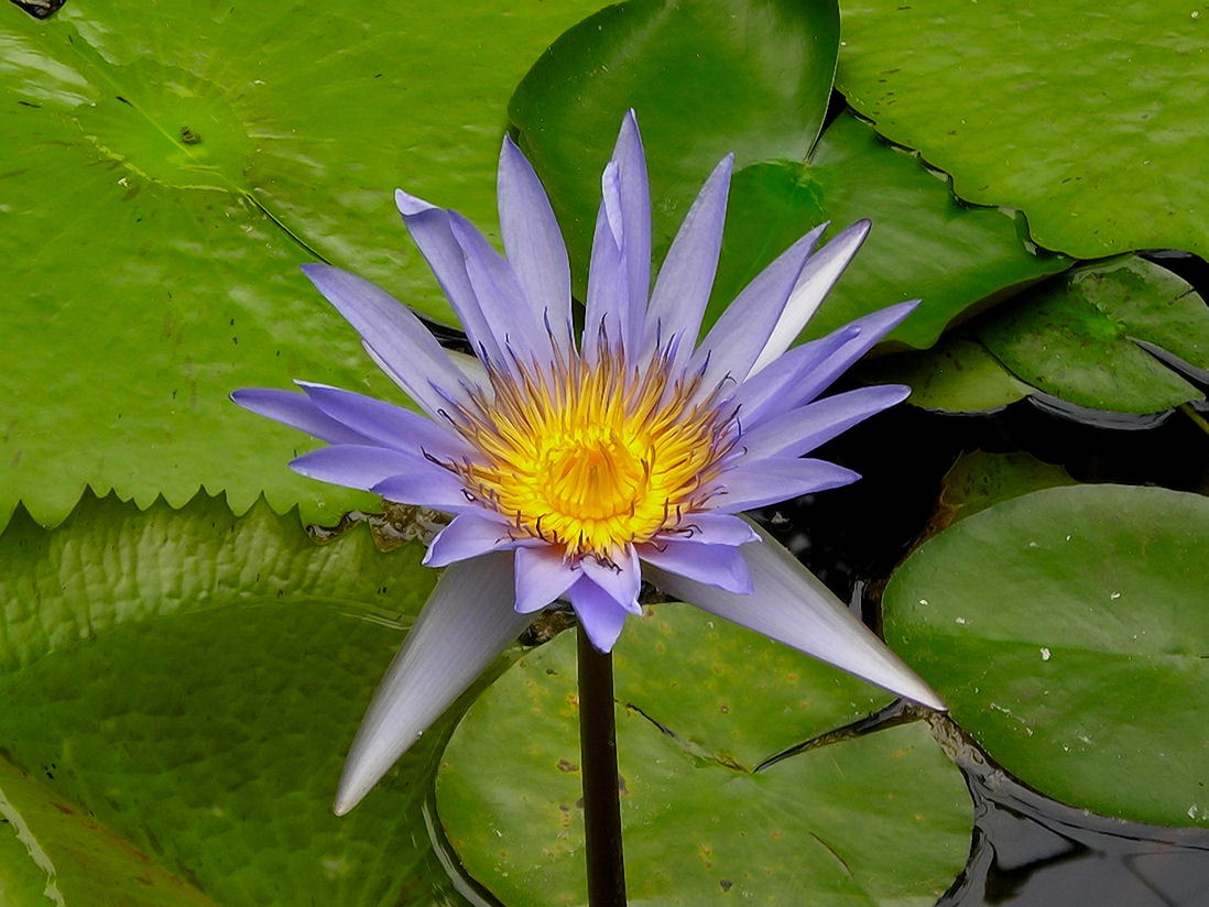 Foto de Xcaret, México
