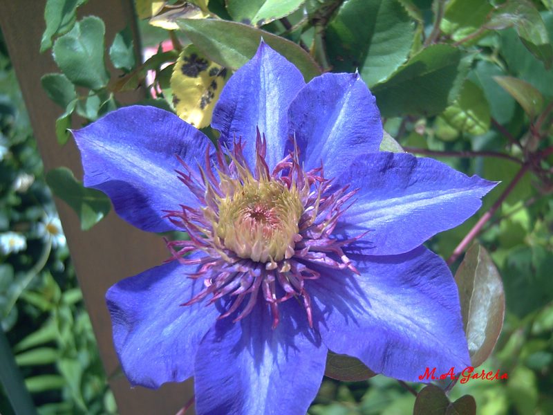 Foto de Respenda de la Peña (Palencia), España